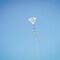 In the Breeze Coloring Diamond 20 Inch Kite - Single Line - Ripstop Fabric Kite - Includes Crayons, Kite Line and Bag - Creative Fun for Kids and Adults